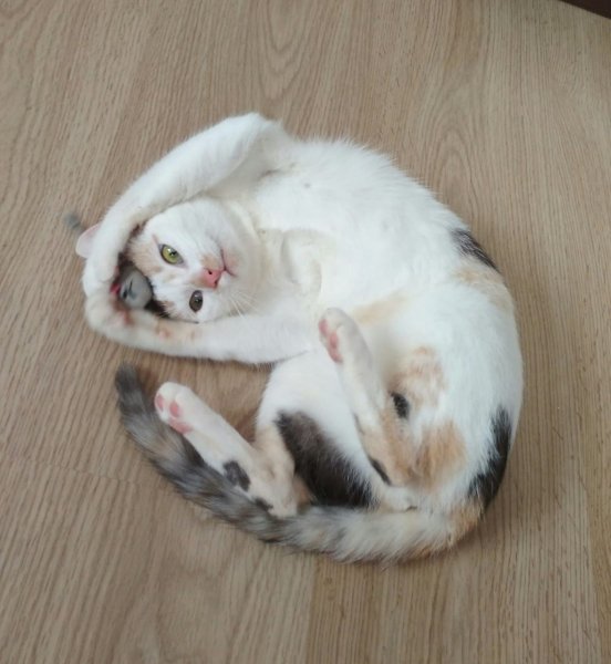 photo_2023-03-17_18-12-48 (2).jpg