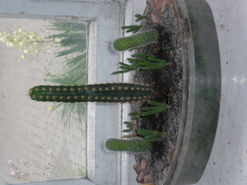 P1010733.JPG